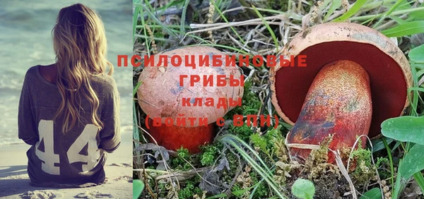 a pvp Новодвинск
