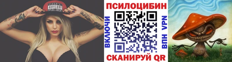 Псилоцибиновые грибы Psilocybe OMG Сортавала